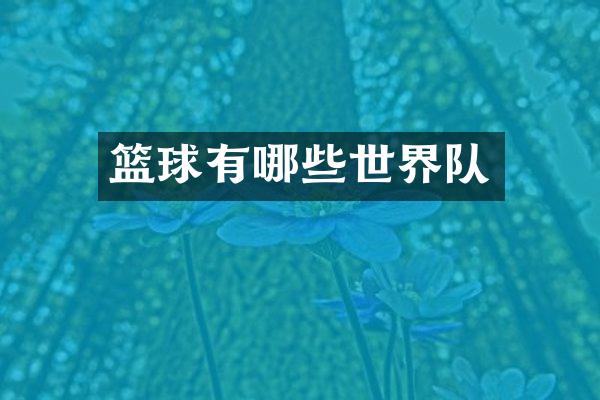 篮球有哪些世界队