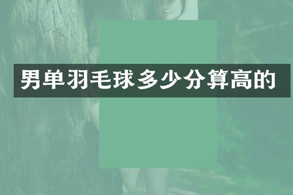 男单羽毛球多少分算高的