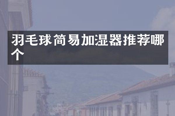 羽毛球简易加湿器推荐哪个