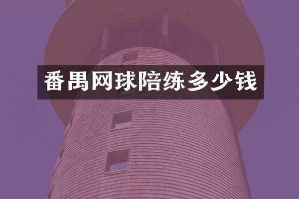 番禺网球陪练多少钱