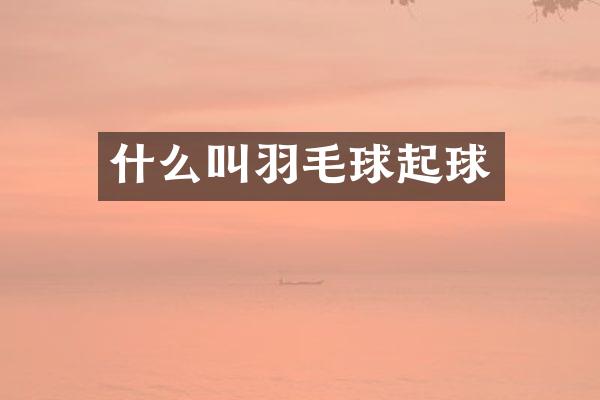 什么叫羽毛球起球