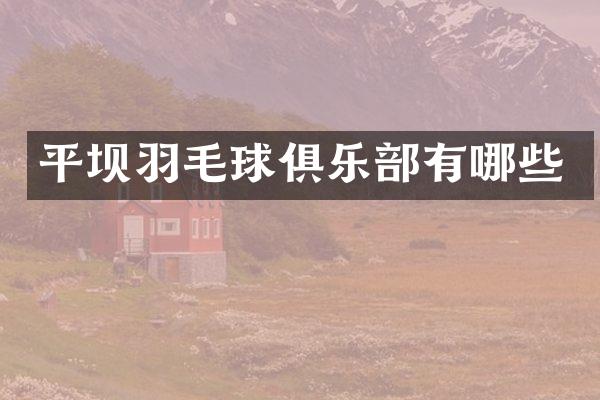 平坝羽毛球俱乐部有哪些