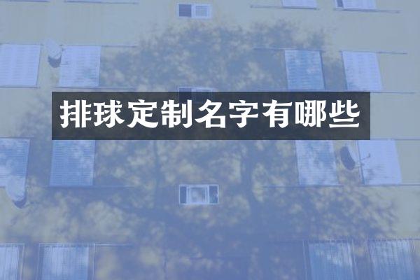 排球定制名字有哪些