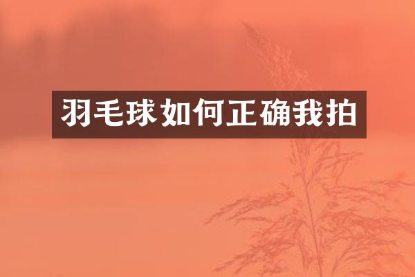 羽毛球如何正确我拍