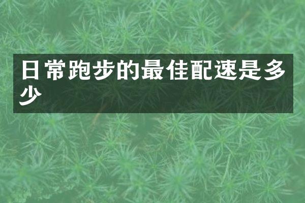 日常跑步的最佳配速是多少