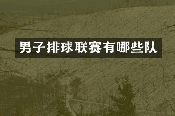 男子排球联赛有哪些队