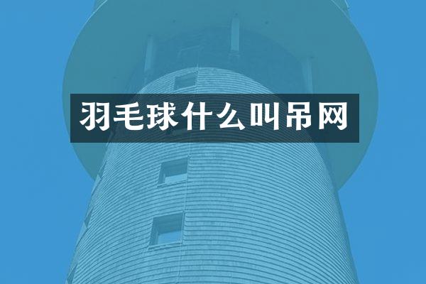 羽毛球什么叫吊网