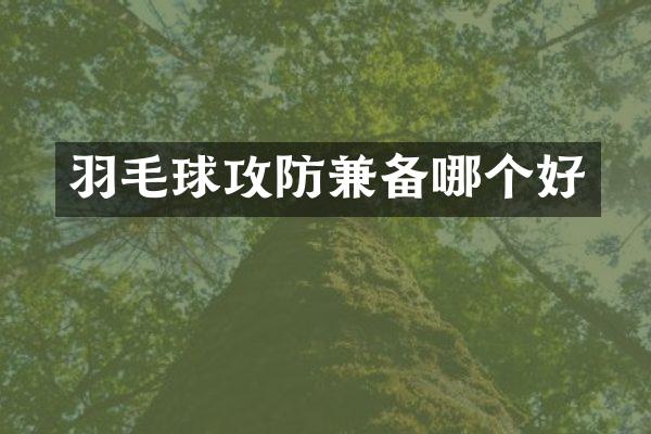羽毛球攻防兼备哪个好