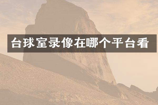 台球室录像在哪个平台看