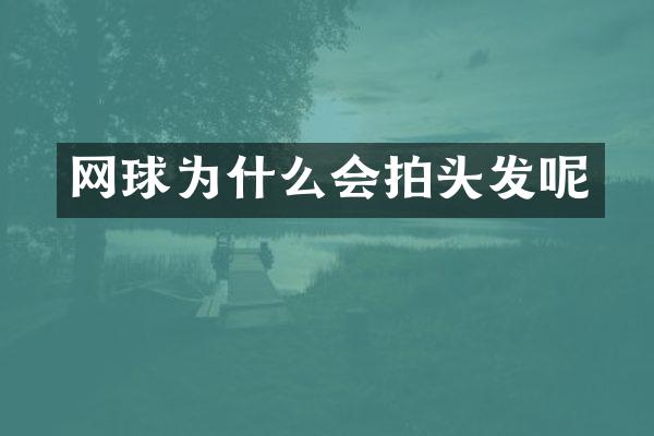 网球为什么会拍头发呢
