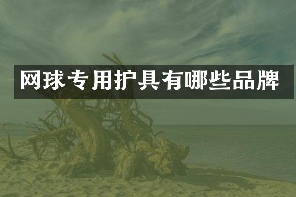网球专用护具有哪些品牌