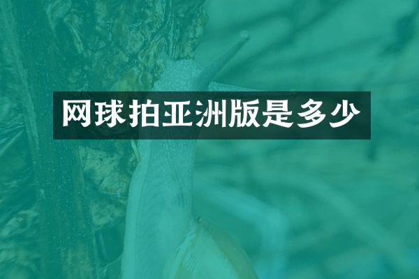 网球拍亚洲版是多少