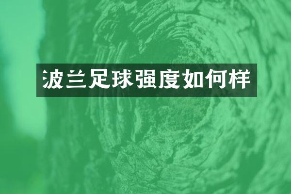 波兰足球强度如何样
