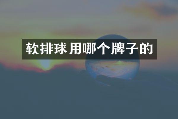 软排球用哪个牌子的