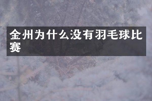 金州为什么没有羽毛球比赛