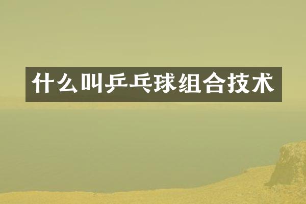 什么叫乒乓球组合技术