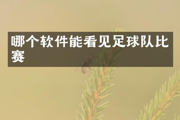 哪个软件能看见足球队比赛
