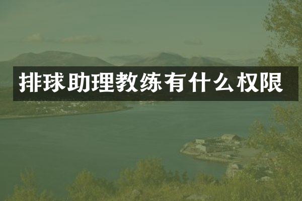 排球助理教练有什么权限