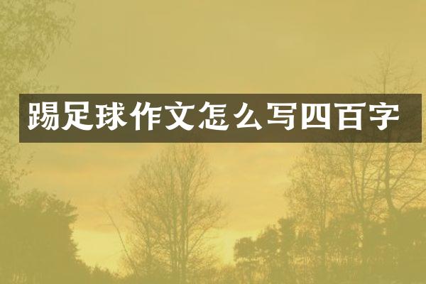 踢足球作文怎么写四百字