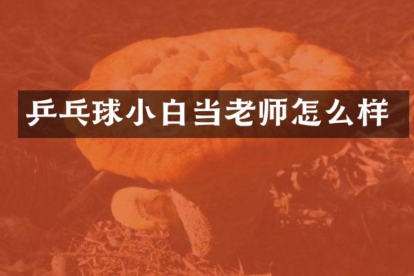乒乓球小白当老师怎么样