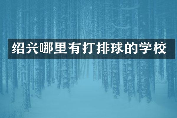 绍兴哪里有打排球的学校