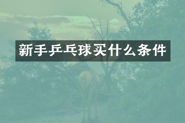 新手乒乓球条件