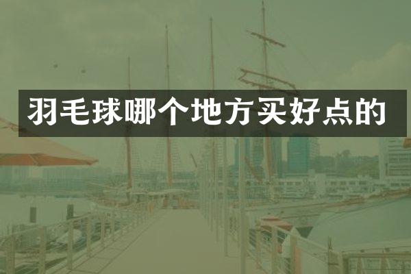 羽毛球哪个地方买好点的