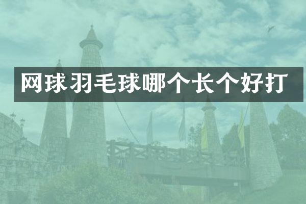 网球羽毛球哪个长个好打