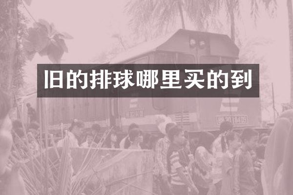 旧的排球哪里买的到