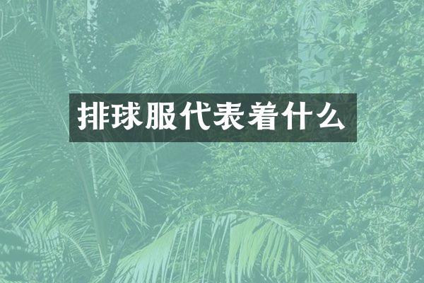 排球服代表着什么