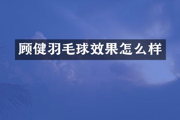 顾健羽毛球效果怎么样