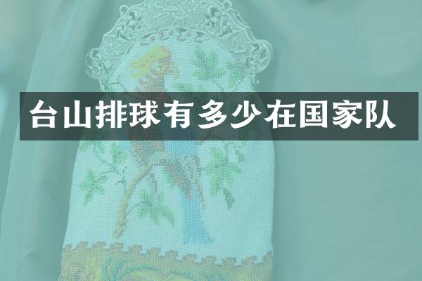 台山排球有多少在国家队