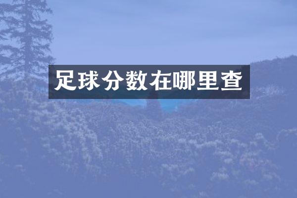 足球分数在哪里查