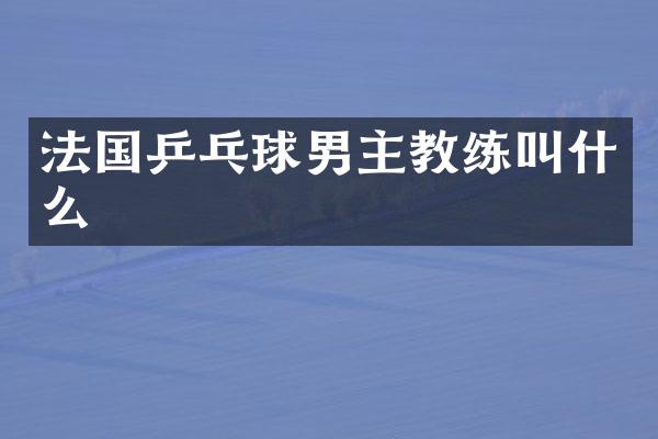 法国乒乓球男主教练叫什么