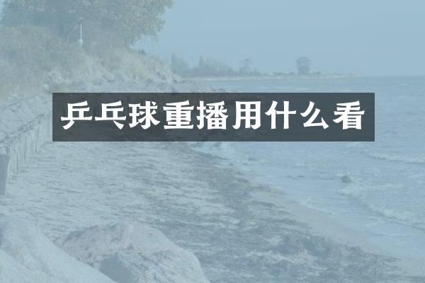 乒乓球重播用什么看