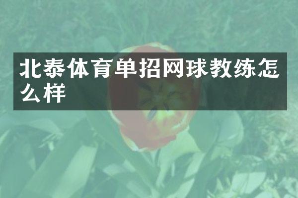北泰体育单招网球教练怎么样