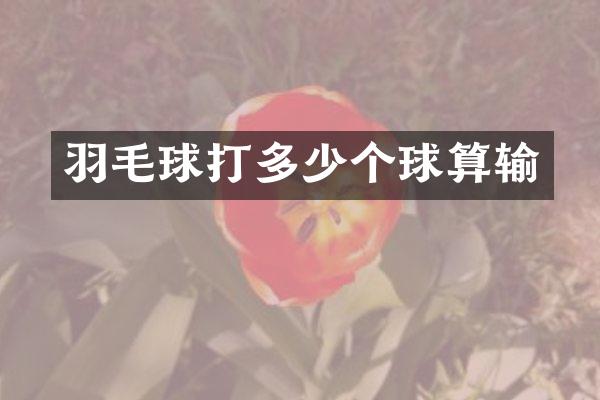 羽毛球打多少个球算输