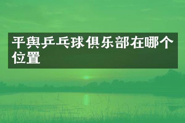 平舆乒乓球俱乐部在哪个位置