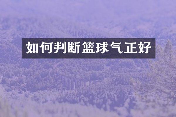 如何判断篮球气正好