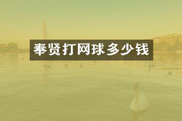 奉贤打网球多少钱