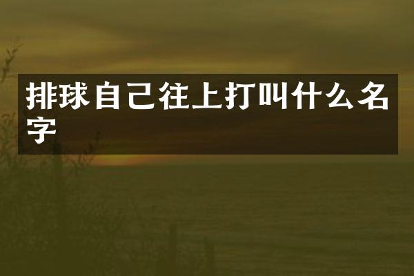 排球自己往上打叫什么名字