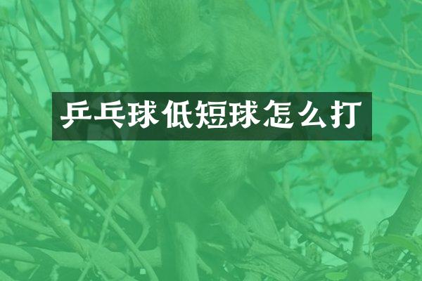 乒乓球低短球怎么打