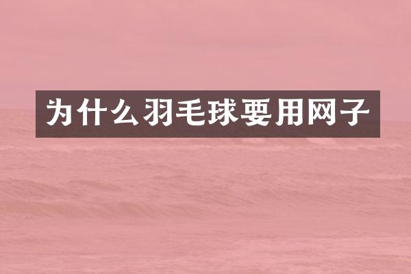 为什么羽毛球要用网子