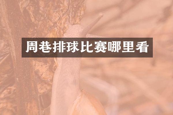 周巷排球比赛哪里看