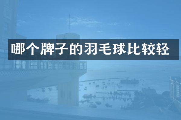哪个牌子的羽毛球比较轻