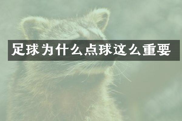 足球为什么点球这么重要