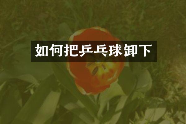 如何把乒乓球卸下