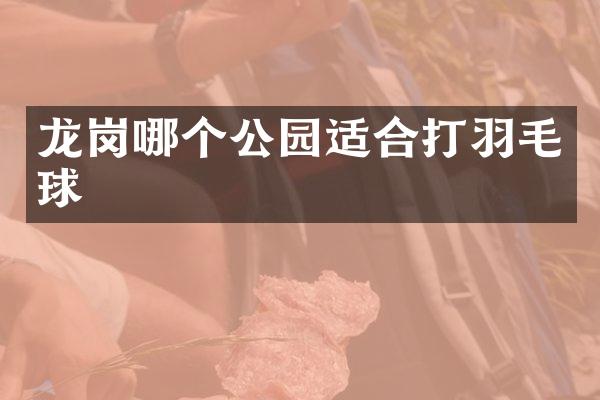 龙岗哪个公园适合打羽毛球