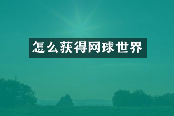 怎么获得网球世界