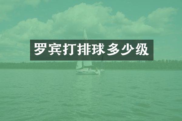 罗宾打排球多少级